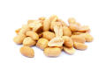 Peanuts China Badam Large grain raw Chinese almonds raw Peanuts.