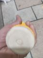 JG player edition coconut bat double season coconut tspe ball cricket bat. 