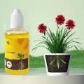 Plant Rooting Stimulator Liquid Liquid Rooting Fertilizer for Fast and Strong Root Growth Rapid Rooting Agent and Root Enhance. 