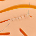 Silicone Human Traumatic Skin Model Reusable Skin Wounds Suture Teaching Module For Medical Student Exams And Learning Practicng. 