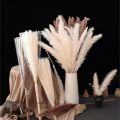 15 Pcs Natural Dried Flowers Bohemian Style 45cm Long Dried Flowers Bohemia Flower Bouquet Home Decor for Living Room. 