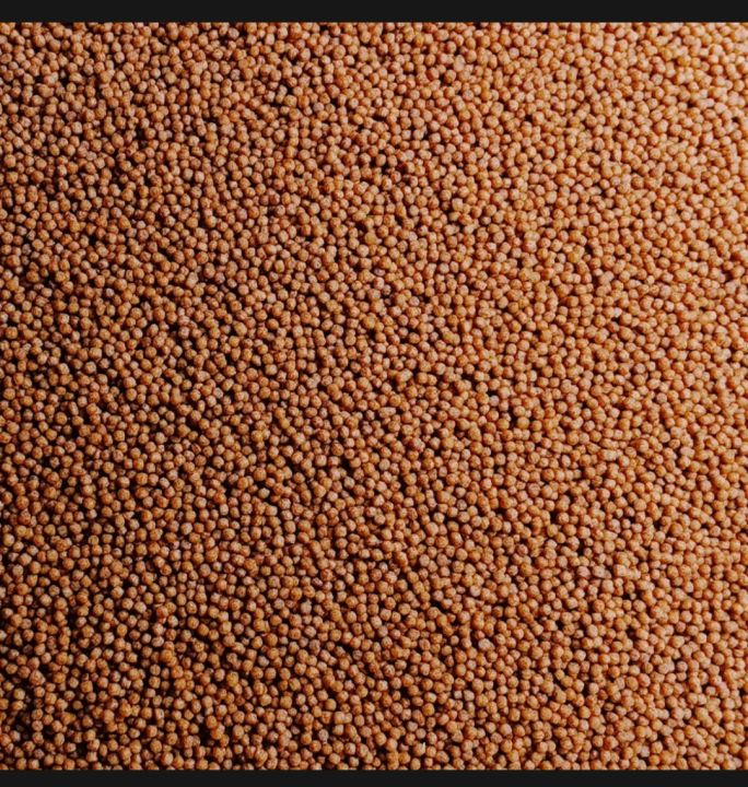 Aquarium%20Fish%20Foods%201kg%20Highly%20Nutrition%20fish%20food%20-%20Image%202