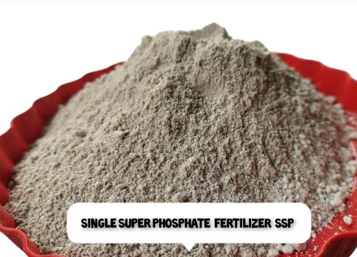 Single%20Super%20Phosphate%C2%A0%20Fertilizer%C2%A0%20ssp%201000%20gm%20Repack%20Indian%20-%20Image%205