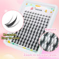 Fairy Lash Clusters Natural Look Manga Eyelash Clusters Wispy D-Curly Cluster Eyelash Extensions 120 Pcs 8-16MM.