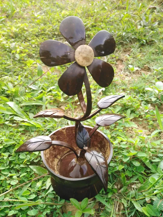 Coco shell flowervas | Daraz.lk