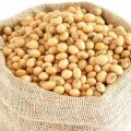 Soya Bean Seeds | Soyabean Dana | Protein & Natural | 500 gm. 