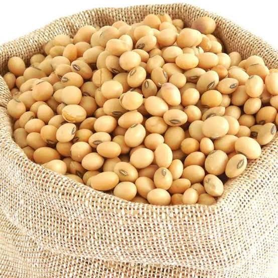 Soya Bean Seeds | Soyabean Dana | Protein & Natural | 500 gm