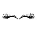 1Pair Car Headlight Eyelash Stickers 3D Charming False Eyelashes Decal Car Bumper Decoration Motorcycle Styling Accessories. 