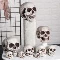 All Size Plastic Human Skull Head Skeleton Halloween Style Photo Prop Cranium Haunted House Statue Party Decor Game Supplies. 