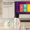 Karaoke K12 Machine Portable Bluetooth 5.3 PA Speaker System with 1-2 Wireless Microphones Home Family Singing Children's Gifts. 