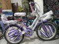20 inch Cycle for Girls for 8 to 14 year imported China. 