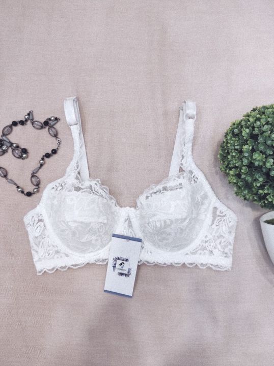 Lace Padded Wired Full Coverage Net Bra Brazzer Blouse (01)