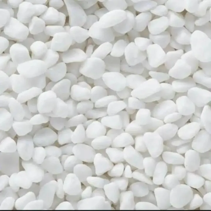 Picture of Aquarium White stone (2 kgs) | Daraz.com.bd