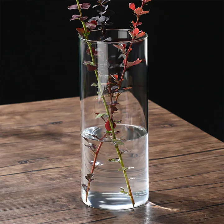 Transparent%20Glass%20Hydroponic%20Vase%20Minimalist%20Glass%20Vase%20Cylinder%20Flower%20Vase%20for%20Wedding%20Living%20Room%20Decorative%20Gift%20-%20Image%202