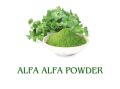 Alfalfa Powder - Green Superfood, Natural supplement (200 Grams). 