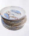 peck of 12 Dinner plates  6  small or 6 midium good quality. 