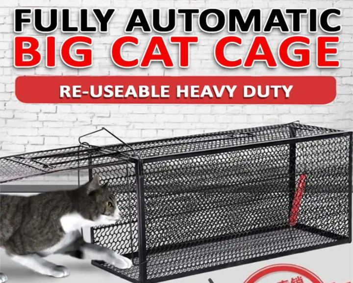LARGE%20CAT%20CATCHING%20CAGE%20REUSABALE%20-%20Image%202