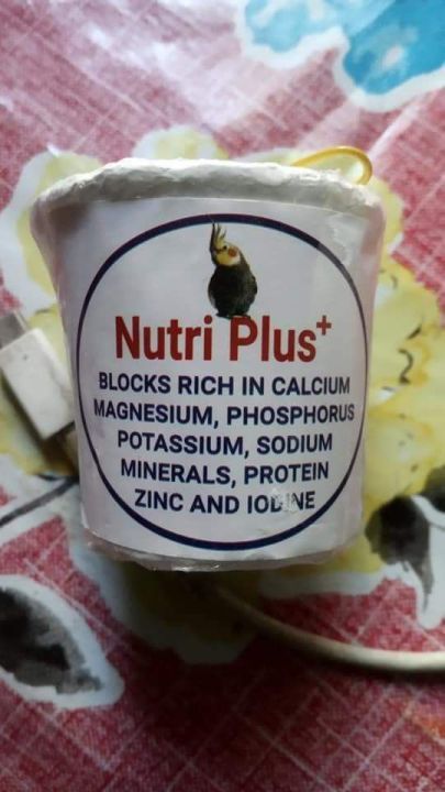 Calcium%20Block%20for%20Birds-Nutri%20Plus/%20Pushti-%20Locally%20Made,%20Bucket%20Shape-%204%20pcs%20-%20Image%202
