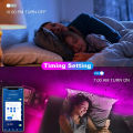 Bluetooth LED Lights Strip 5050 Smart APP Remote Control Flexible Diode Lamp RGB Tape Backlights Game Room Christmas Decoration.