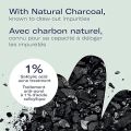 Bioré Charcoal Acne Cleanser, Salicylic Acid Treatment, Helps Prevent Breakouts, Oil Absorption and Control for Acne Prone, Oily Skin, (Canada). 