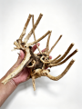 7-26CM 4 Sizes Driftwood Cuckoo Roots Dead-wood Tree Trunk Landscape Creative Reptile Cylinder Fish Tank Ornament Aquarium Decor. 