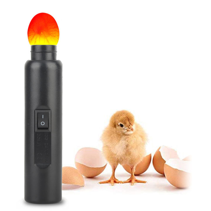 WOONEKY Eierkandler – LED-Durchleuchtlampe Zum Schieren Von Eiern, Silber, 10x1,2cm, Ohne Batterie, Für Brutkontrolle & Befruchtungserkennung
