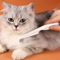 Pet Cat Dog Hair Comb Teeth Small Row Comb Eye Clean Face Flea Needle Comb Cat Dog Cleaning Floating Hair. 