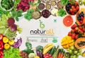 B Naturall Soya Milk Powder |High in Protein | Vegan | Non-GMO - 200 GM by B Naturall. 