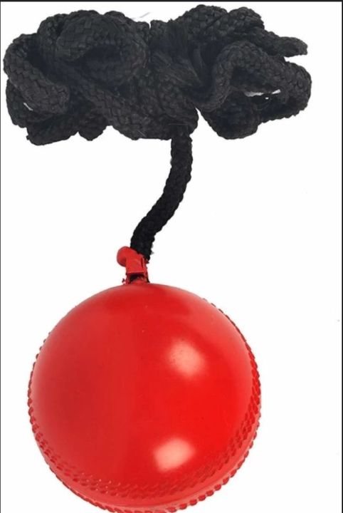Hanging%20Ball%20Cricket%20Practice%20Ball%20-%20Image%204