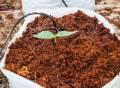 Cocopeat Natural fertilizer for germination and gardening use 500gm.
