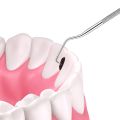 Reusable Stainless Steel Toothpick Set - Portable Oral Cleaning Tool for Travel & Home Metal Toothpick Combo.