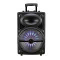 12 inches outdoor party speaker.