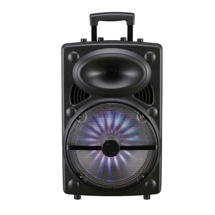12%20inches%20outdoor%20party%20speaker%20-%20Image%202