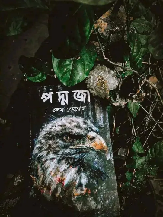 Padmaja%20Black%20New%20Edition%20-%20Image%206