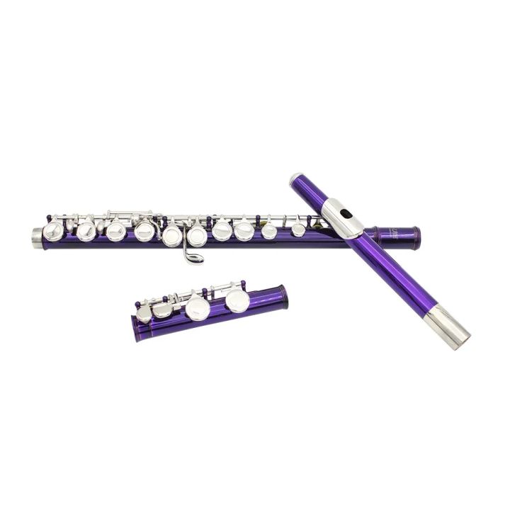 SLADE%2016%20Holes%20C%20Tone%20Flute%20With%20E%20Key%20Purple%20Professional%20Woodwind%20Instrument%20Closed%20Key%20Cupronickel%20Tube%20Flute%20Beginner%20Kit%20-%20Image%205
