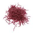 100PCS Soft Lure Bass Bream Bloodworm Fishing Earthworm Worm Rubber Red Worms Baits Fishy Smell Realistic Tackle.