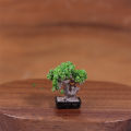 1/12 Dollhouse Simulation Mini Green Tree Potted Dollhouse Home Decorations Dolls House Micro Landscape Garden Ornament. 