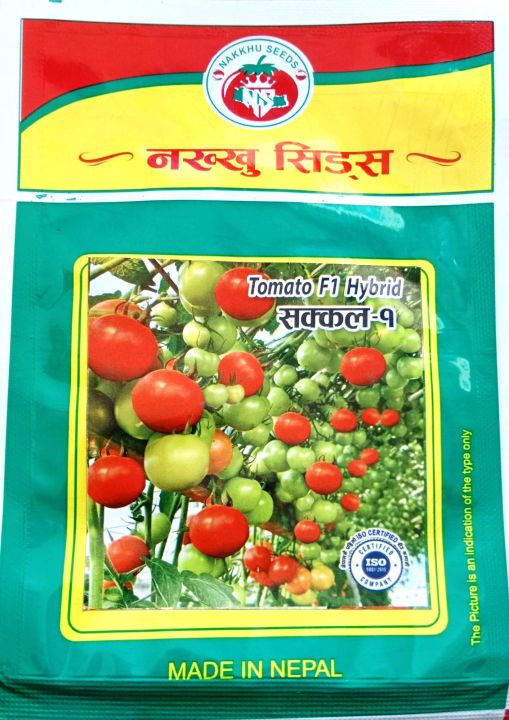 Sakkal-1%20Tomato%20Seeds%20Hybrid(2Grm)%20-%20Image%203