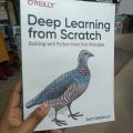 Deep Learning from Scratch: Building with Python from First Principles. 