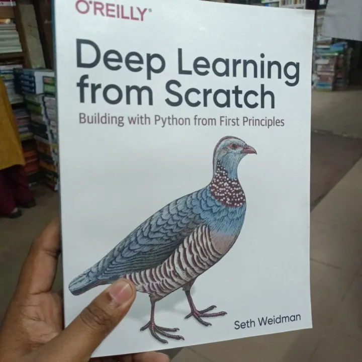 Deep Learning from Scratch: Building with Python from First Principles