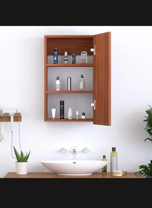 bathroom cabinet with door
