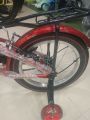 Duranta Extreme 16" Red. 