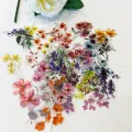 50pcs Transparent INS Ink Flower Cartoon Graffiti Stickers DIY Phone Laptop Notebook Suitcase Waterproof Sticker Kids Toy Gifts. 