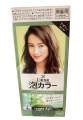 Premium Kao Liese Foam Hair Color 7 Color Shade To Choose From Salon Finish Made In Japan. 