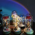 Flower Beauty and the Beast Led Eternal Rose in Glass Christmas Artificial Flowers for Decor Wedding New Year Gifts for Home. 