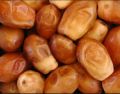 Khajoor (Dates) Zahidi Dates From Iran. 