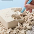 Joan Miro fossils excavation, a treasure excavation set, is ideal for a 3-year-old child development toy.. 