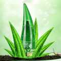 Aloe Vera Gel 99% (Natural Soothing & Moisture Sing Gel) 120ml. 