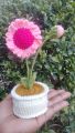 Crochet Daisy Flower Mini Pot   /Crochet Flowers. 
