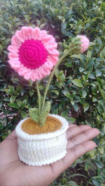Crochet Daisy Flower Mini Pot   /Crochet Flowers